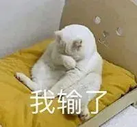 dewa911 slot login big cat king megaways free play [Lotte] Tabrakan menghidupkan kembali skor seri Direktur Iguchi 